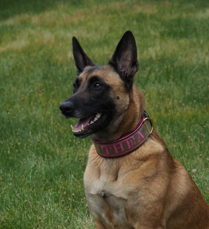 1 Inch Custom Hidden Prong Embroidered Collar