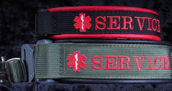 1 Inch Custom Hidden Prong Embroidered Collar