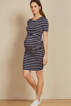 Isabella Oliver Daisy Cap sleeve Maternity Dress