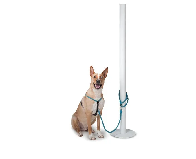 Leisure Parking & Tether Leash